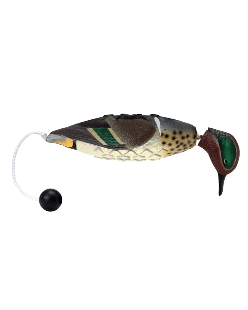 EZ Bird - Image 10