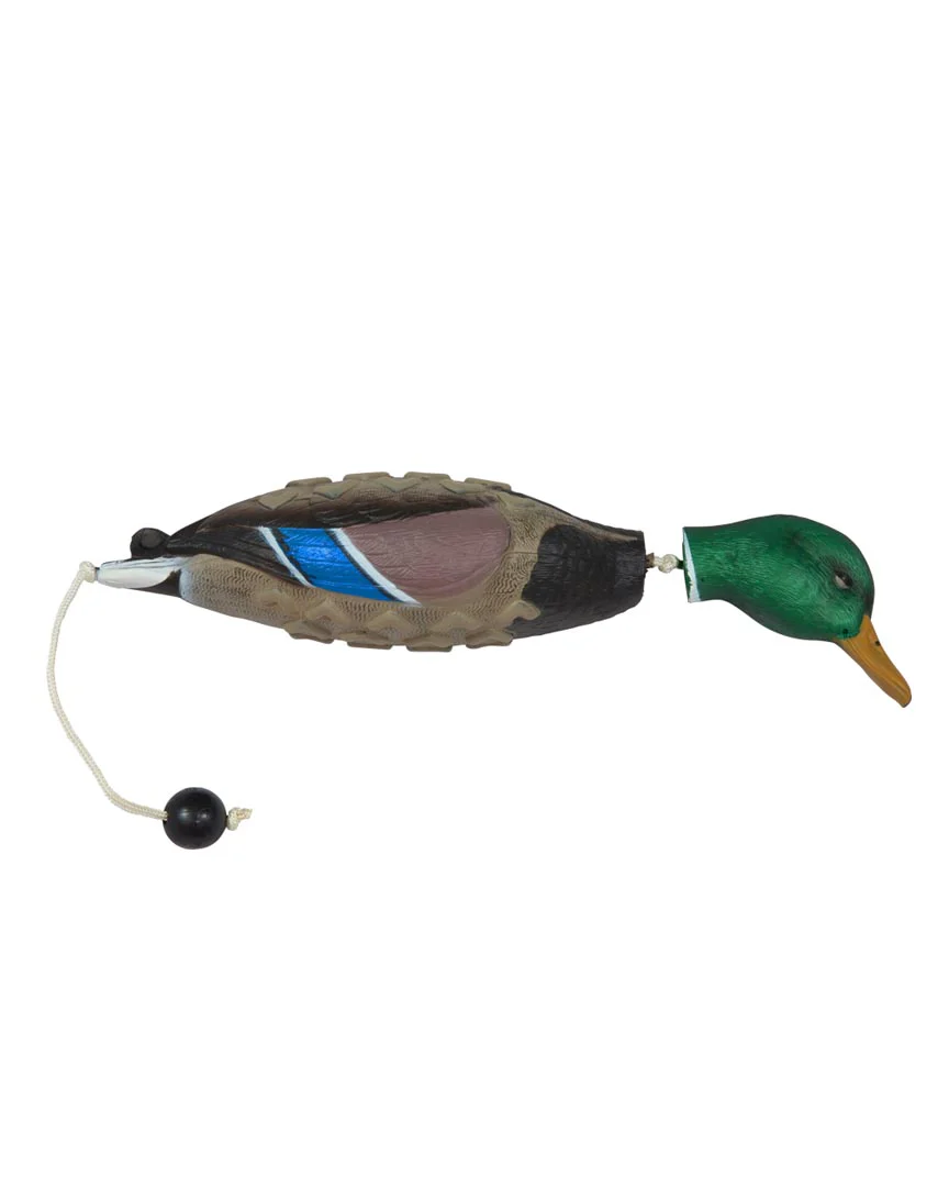 EZ Bird - Image 3