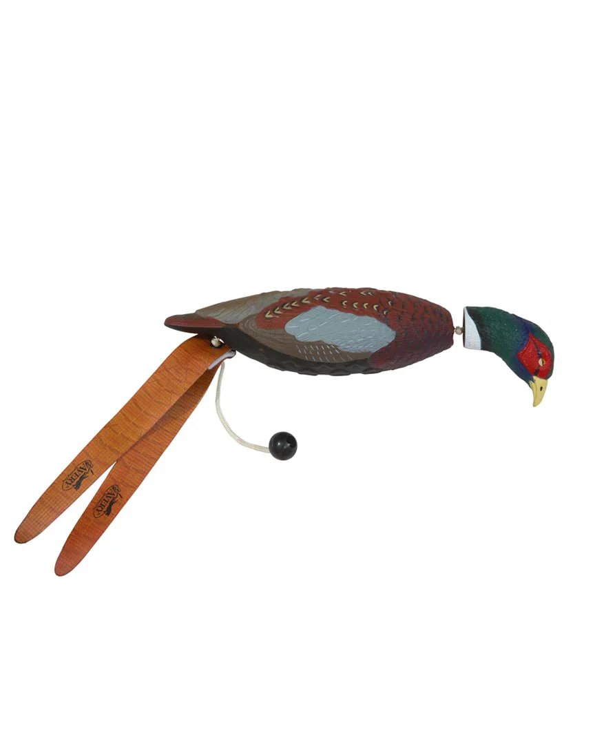EZ Bird - Image 4