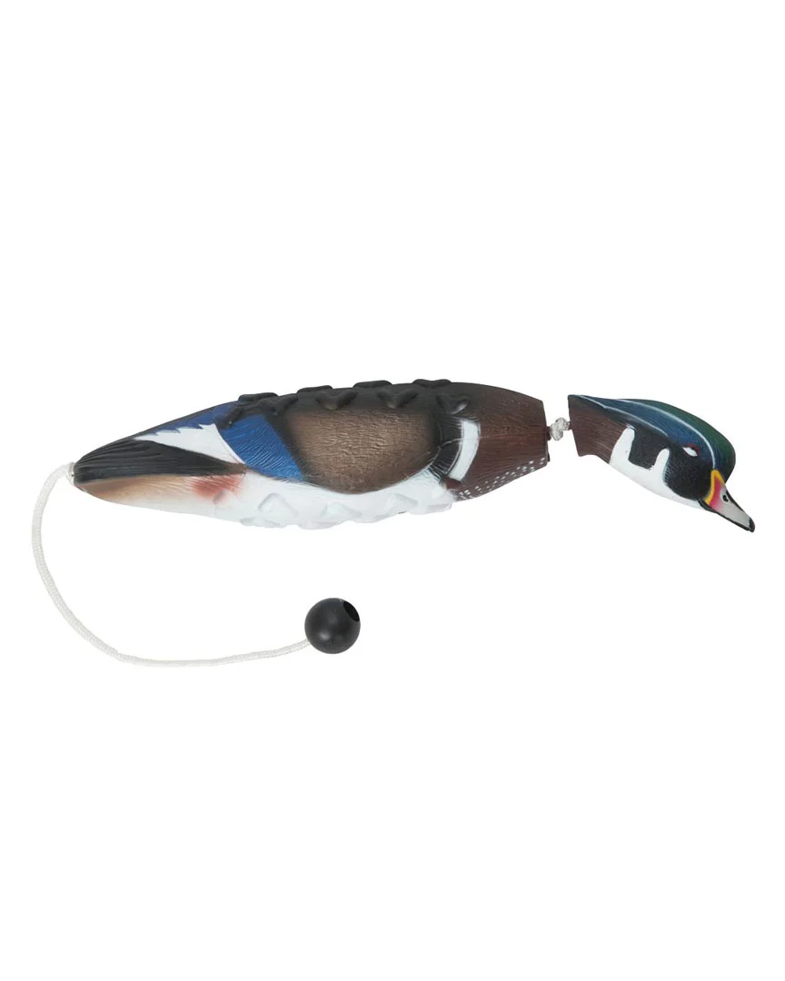 EZ Bird - Image 5