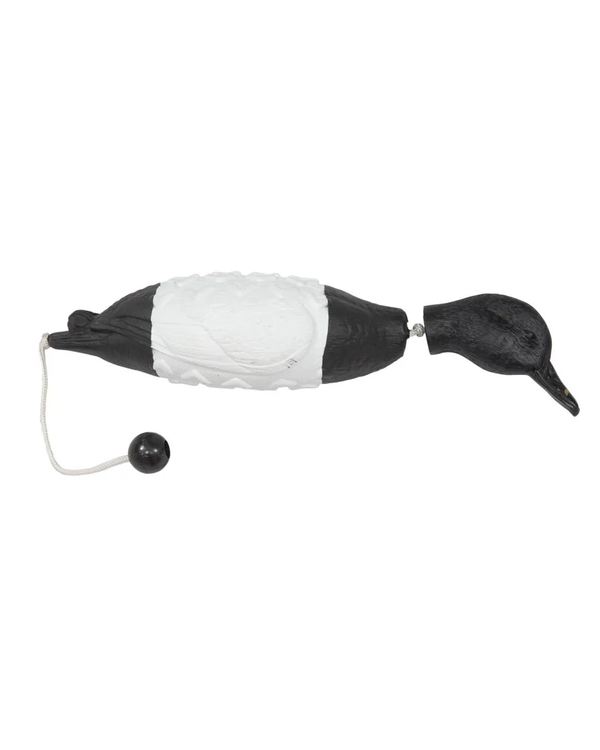 EZ Bird - Image 7