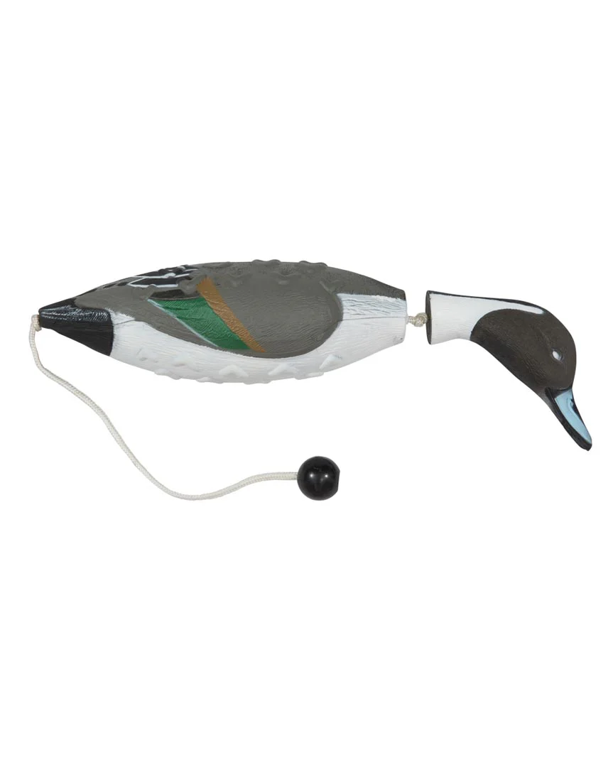 EZ Bird - Image 8