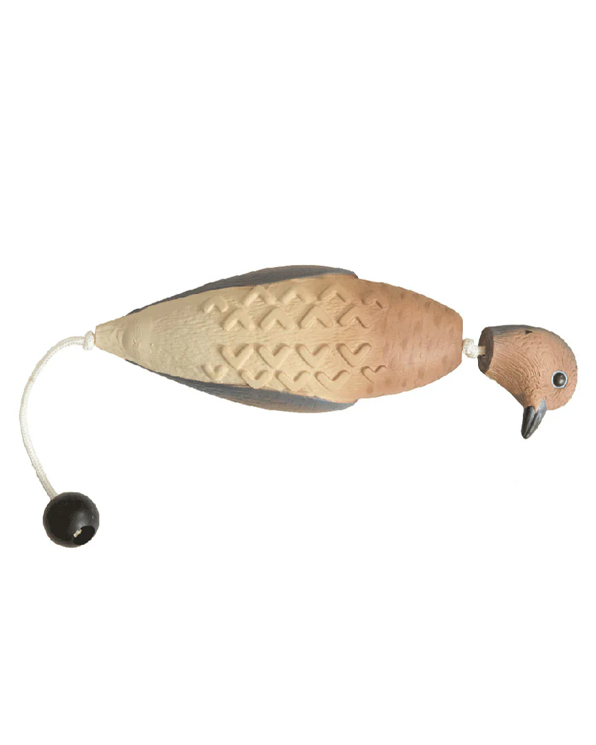 EZ Bird - Image 9